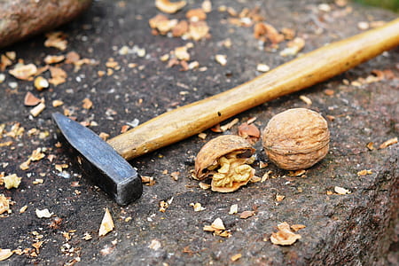 brown peening hammer beside walnut thumbnail