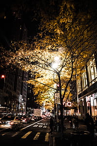 Person Walking Beside Road during Nighttime thumbnail
