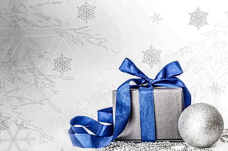 gray gift box with blue ribbon artwork thumbnail