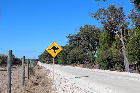 Kangaroo road sign thumbnail