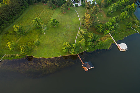 aerial photography of green trees thumbnail