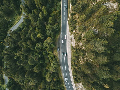 birds eye view of cars on road between trees thumbnail