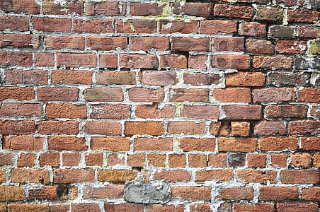 photography of brown bricked wall thumbnail