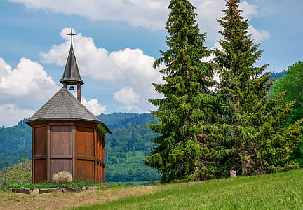 brown wooden church near tree thumbnail