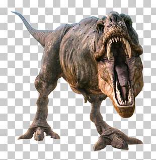 Adocus 3D computer graphics, Dinosaur, gray tyrannosaurus rex dinosaur PNG clipart