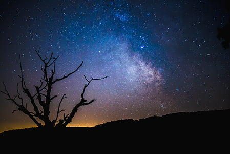starry night during nighttime thumbnail