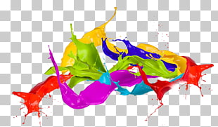 Color Holi , Splash Transparent, multicolored paint splashes PNG clipart