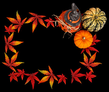 pumpkins on floor thumbnail