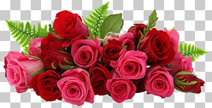 Rose Flower , Red and Pink Roses , red rose bouquet closeup photo PNG clipart