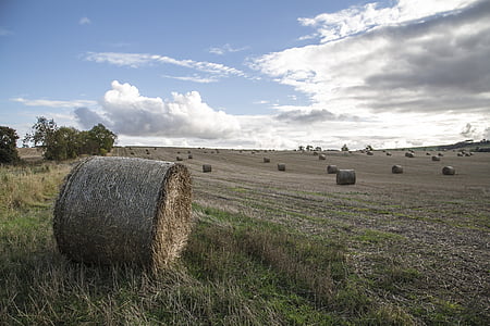 brown haystack rolls on grass field under cloudy sky during daytime thumbnail