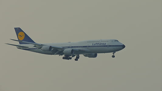 white and blue airplane in air during daytime thumbnail