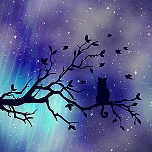 silhouette of cat on tree thumbnail