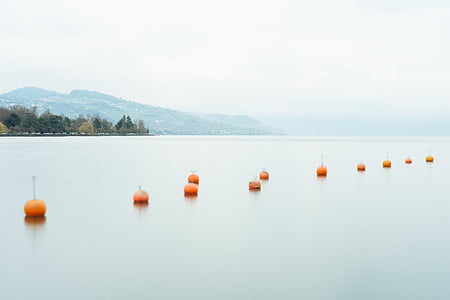 orange floaters on body of water thumbnail