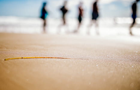 People Standing on Brown San thumbnail