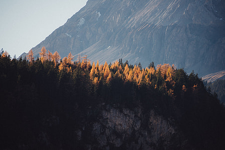 landscape photo of mountain with pine trees thumbnail