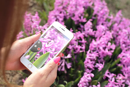 woman, apple, camera, smartphone thumbnail