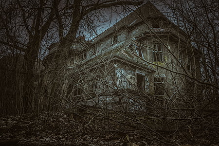gray concrete house near trees thumbnail