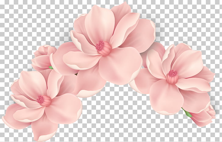 Pink flowers Pink flowers, hand painted pink flowers, pink petaled flowers PNG clipart