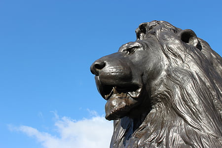 close-up photo of lion statue thumbnail