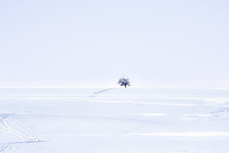 aerial photography of snow capped field during daytime thumbnail