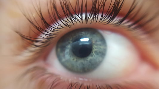 human eye thumbnail