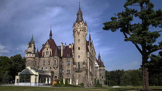 gray castle surrounded by forest thumbnail