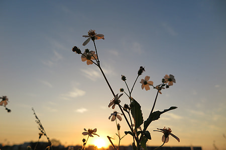 Landscape, Artistic Conception thumbnail