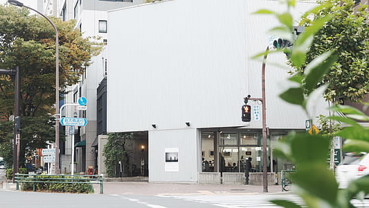 white concrete building thumbnail