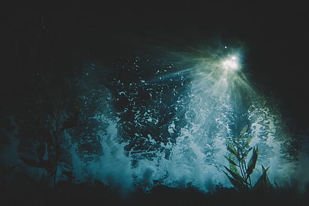 underwater photography thumbnail