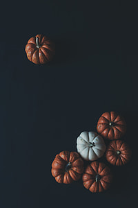 red and white pumpkins thumbnail