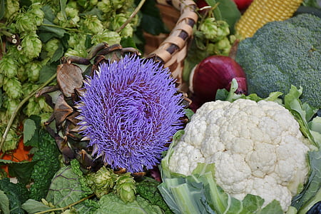 close-up photo of cauliflower, broccoli and pile of vegetables thumbnail