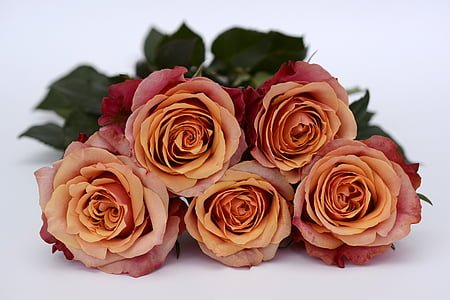 five orange-and-red roses thumbnail