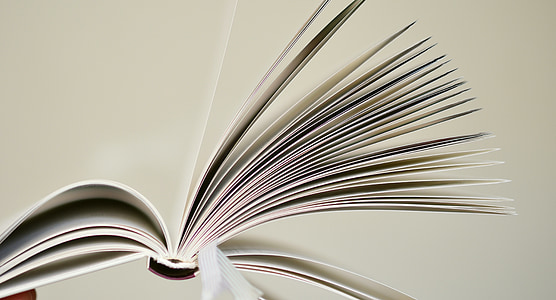 white book pages thumbnail