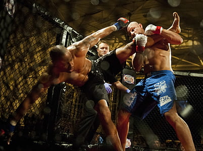 two MMA fighters fighting at octagon thumbnail
