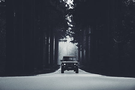 vehicle on road between trees thumbnail