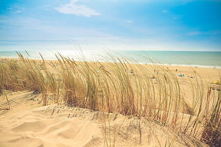 Brown Sand Beach thumbnail