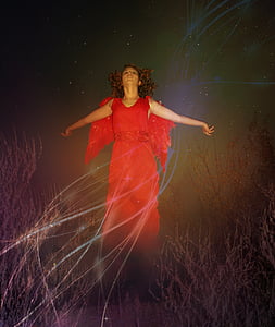 woman wearing red dress with red wings standing on brown grass thumbnail