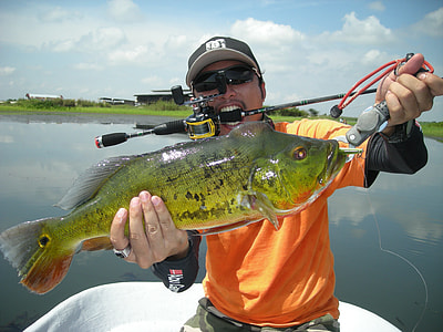 man holding fish while biting on black fishing rod thumbnail
