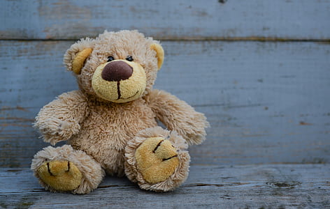 brown bear plush toy on wooden surface thumbnail