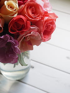 red rose flower in vase thumbnail
