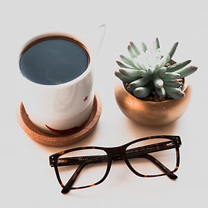 green succulent plant beside coffee mug and black framed eyeglasses thumbnail