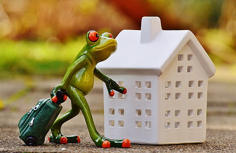 green frog holding green luggage bag near white house miniature figurines thumbnail