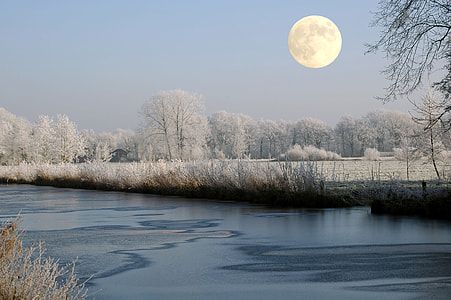 snow covered trees near the creek under the white moon thumbnail