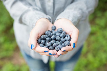 Handful of Blueberries thumbnail