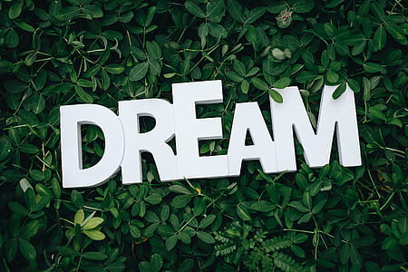 Dream Text on Green Leaves thumbnail