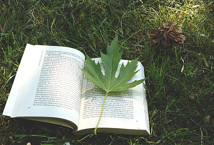 leaf on opened book thumbnail