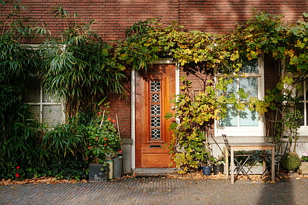 house with brown wooden door thumbnail
