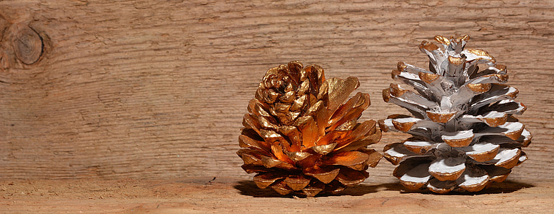 two brown pinecones thumbnail