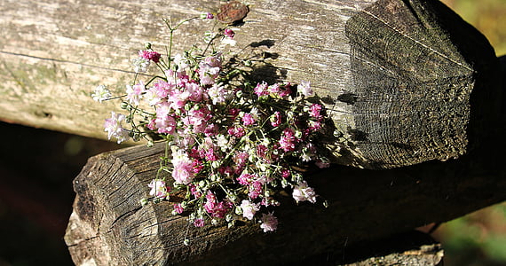 pink flower bouquet on top of brown tree log thumbnail