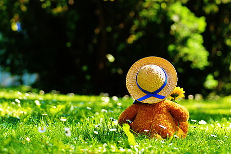 brown bear plush toy on grass thumbnail